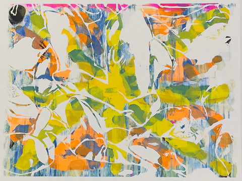 Blackfish monoprint #6