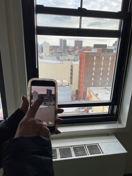 Howie the Harp Murals, 2021