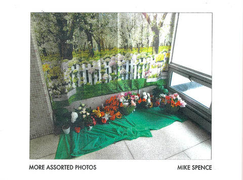 More Assorted Photos by Mike Spence