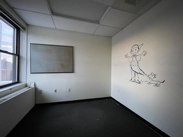 Howie the Harp Murals, 2021