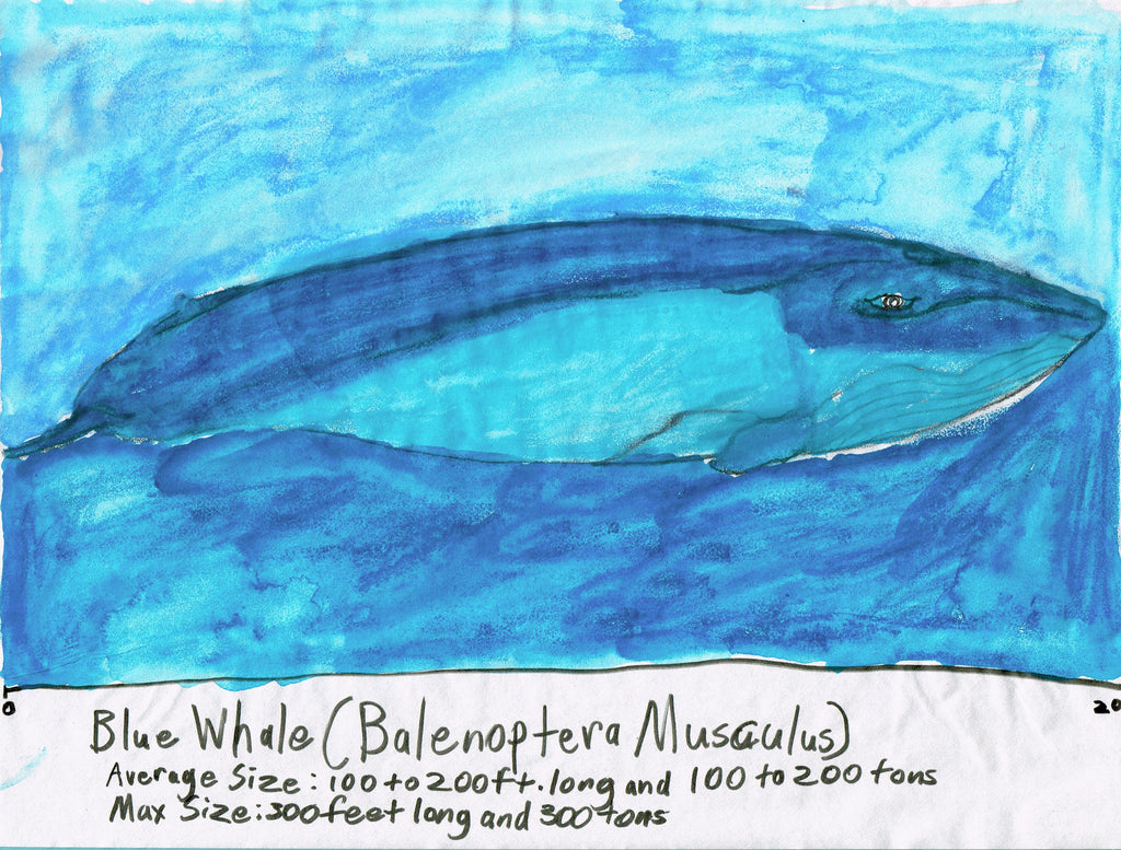 Blue Whale, 2021